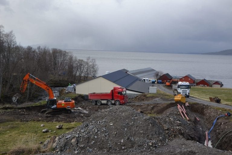 Utgravinga av tomta til Hjelvik Matfisk er i full gang