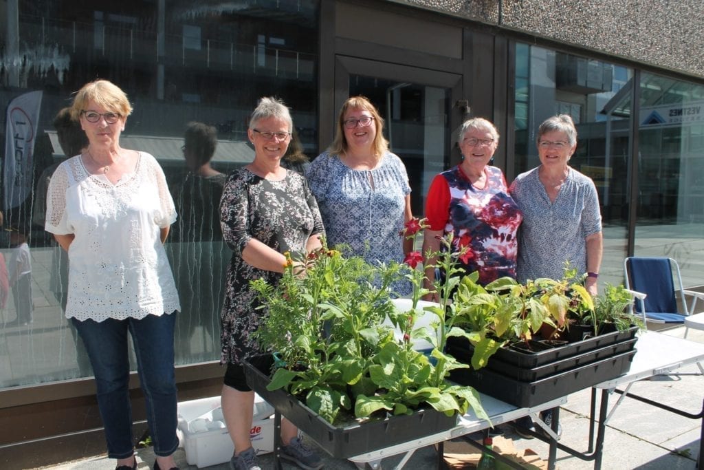 Vestnes hagelag koste seg i varmen på Helland laurdag, og fekk selt mykje plantar og blomstrar.