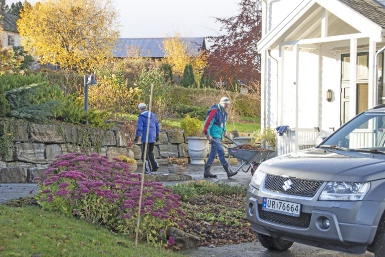 Hektisk: Det var hektisk aktivitet i frivillighagen på tysdag.